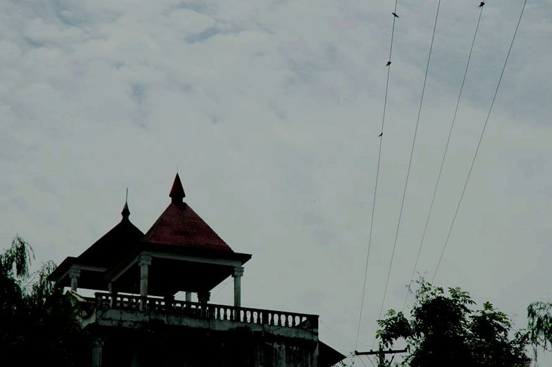20095302105572954_����.jpg