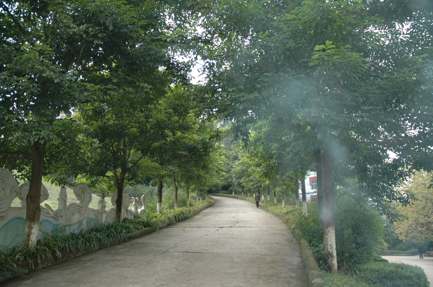 210830hsoorhnanfafvoic.jpg