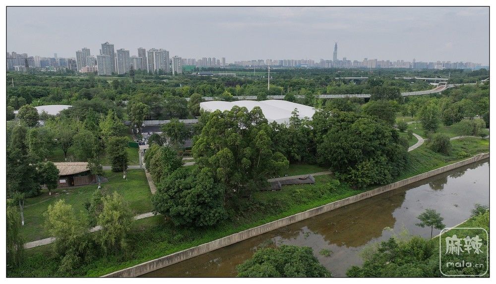 DJI_20260628181344_0162_D.jpg