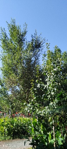 IMG_20260720_093810.jpg