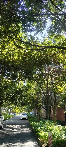 IMG_20260720_093304.jpg