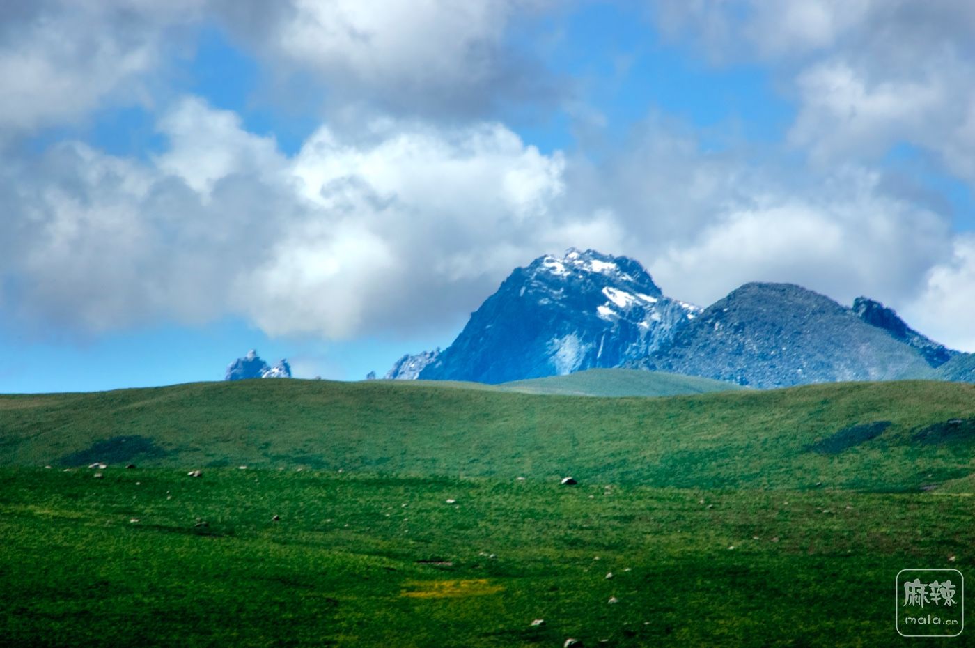 DSC_0876.jpg