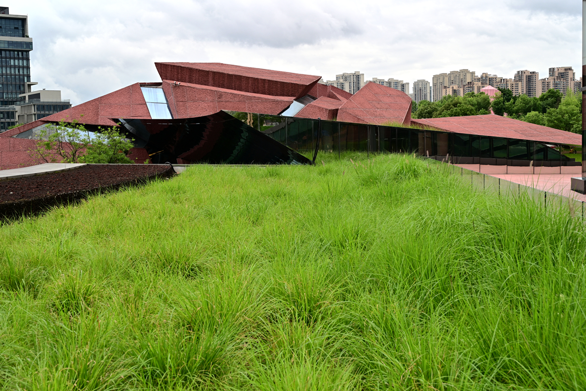 DSC_5868_����.jpg