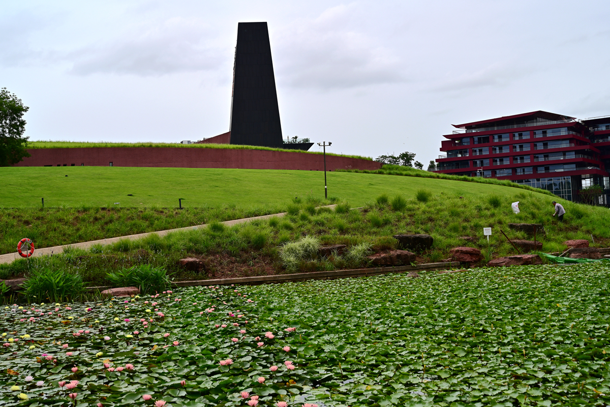 DSC_5997_����.jpg