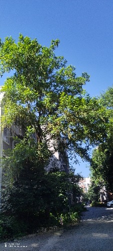 IMG_20260720_093448.jpg