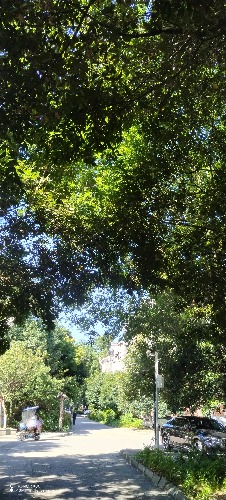 IMG_20260720_093241.jpg