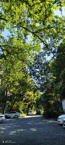 IMG_20260720_093130.jpg