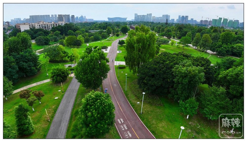 dji_export_20260630_170833_1782810513140_sphere_screenshot.jpg