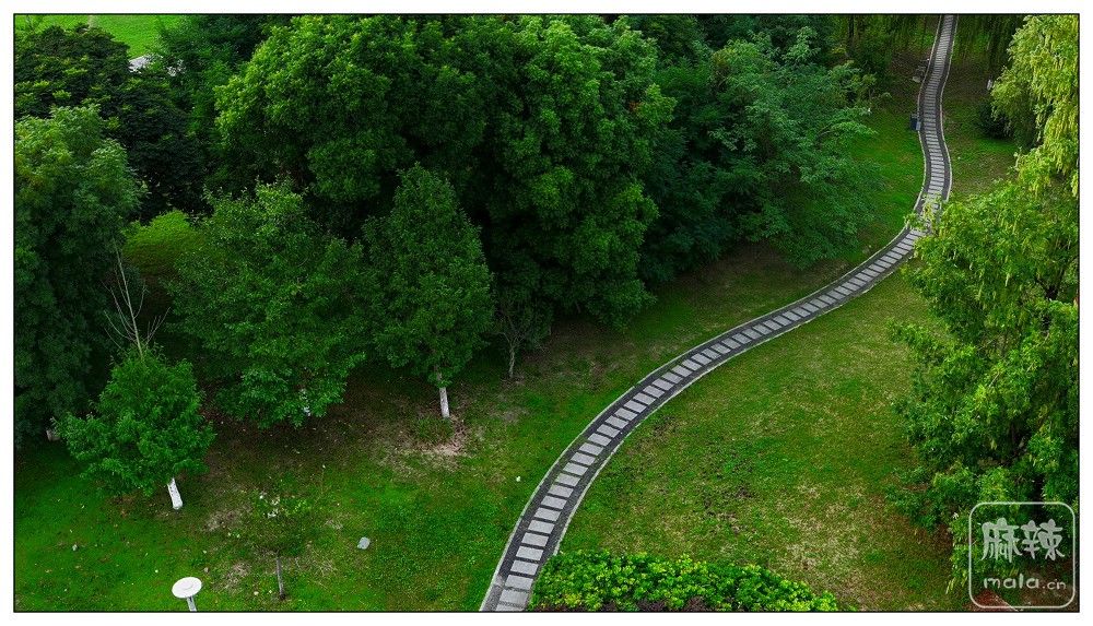 dji_export_20260630_171046_1782810646096_sphere_screenshot.jpg