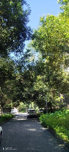 IMG_20260720_093146.jpg