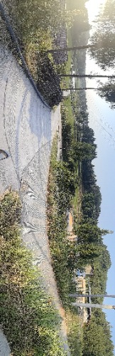 IMG_20260722_070619.jpg