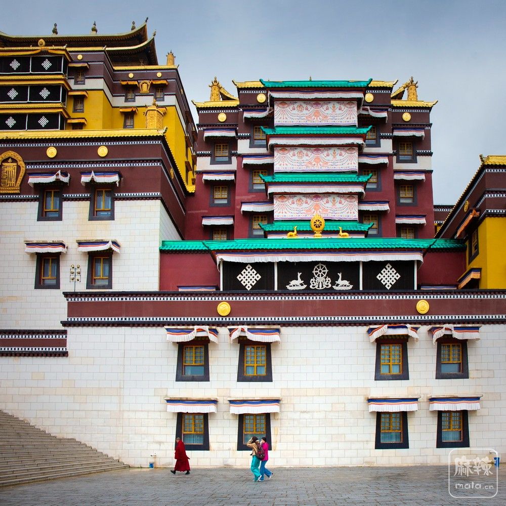 _MG_2304.jpg