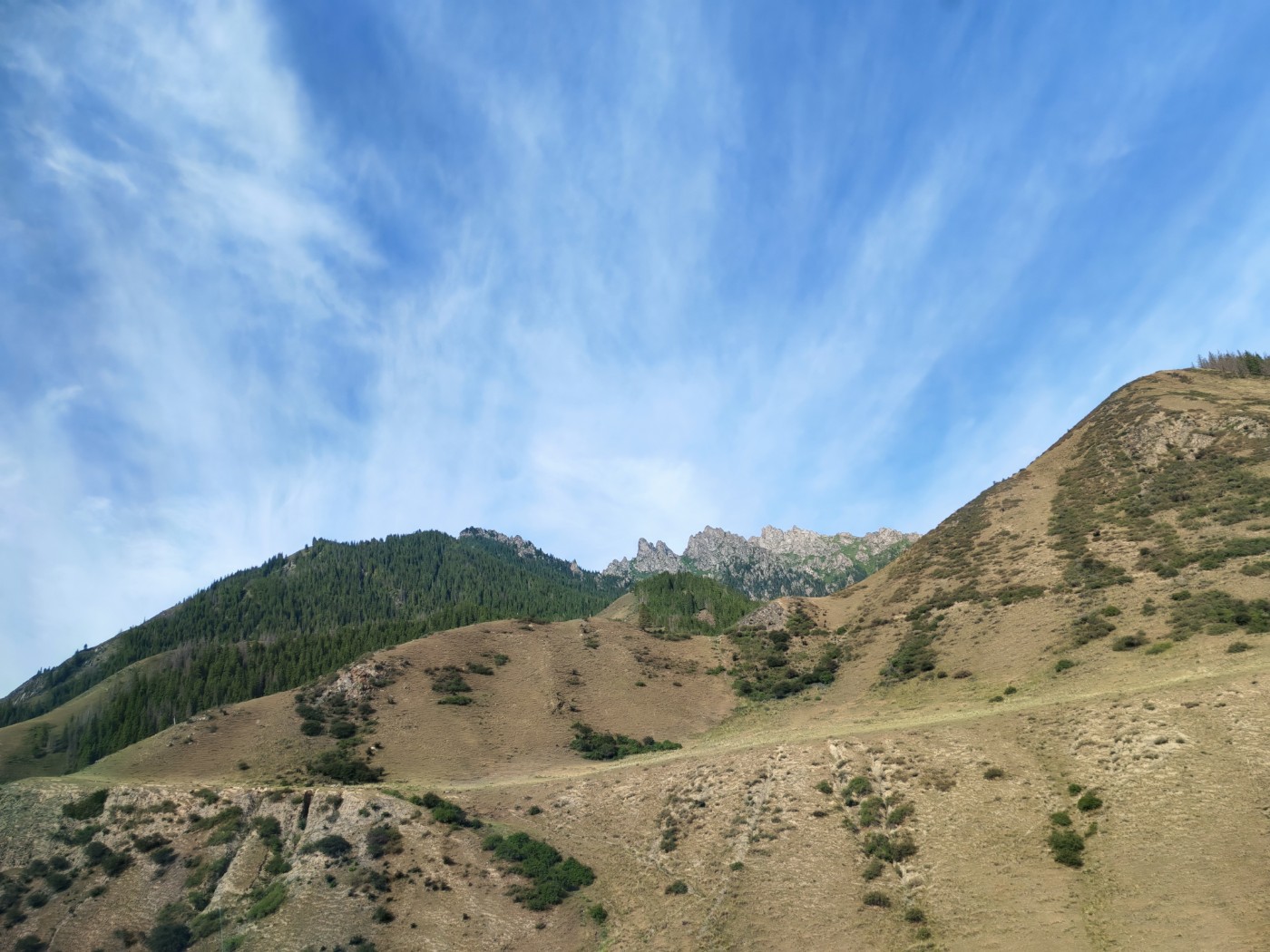 IMG_20260716_094059.jpg