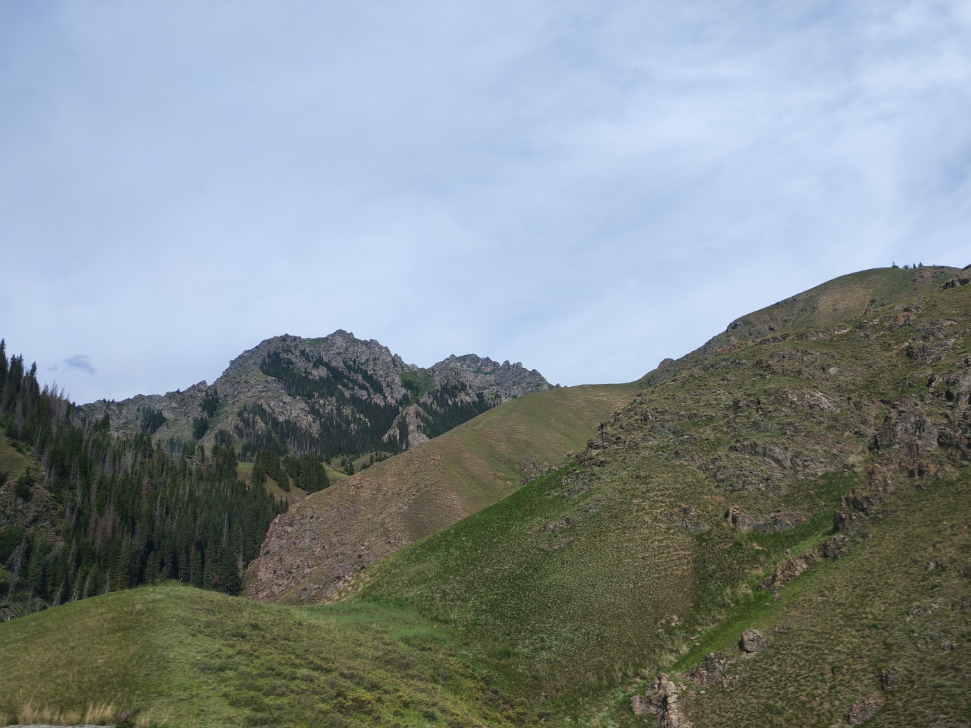 IMG_20260716_095451_1.jpg