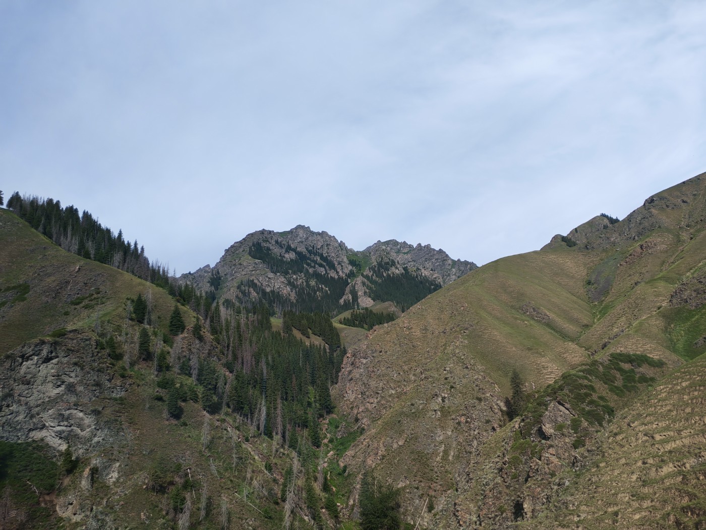 IMG_20260716_095454.jpg