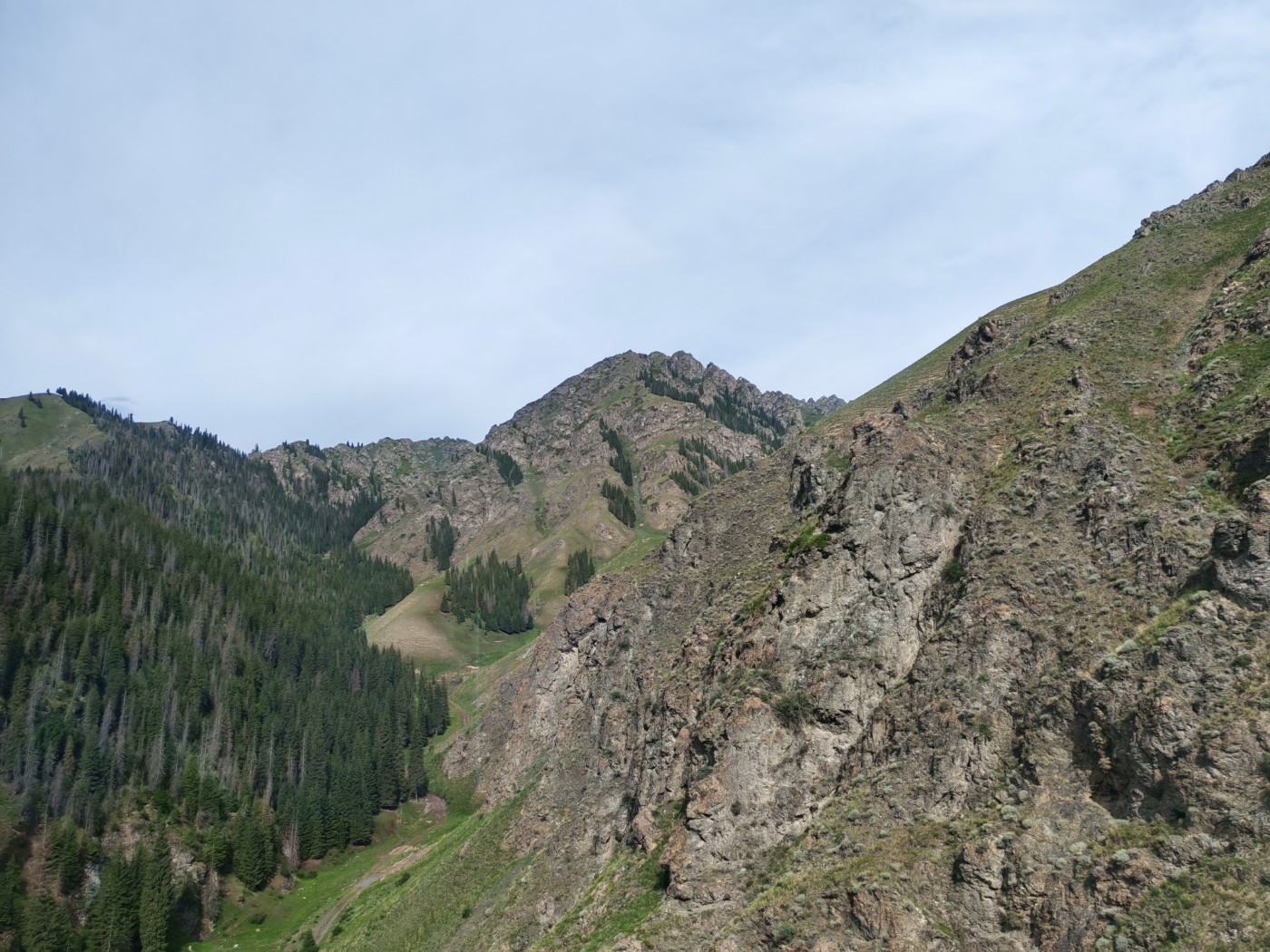 IMG_20260716_095514.jpg