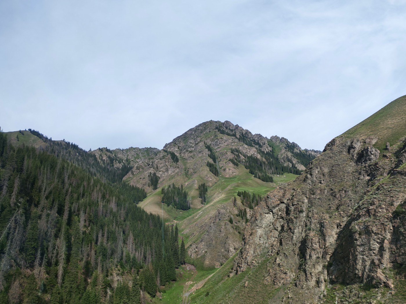 IMG_20260716_095516.jpg