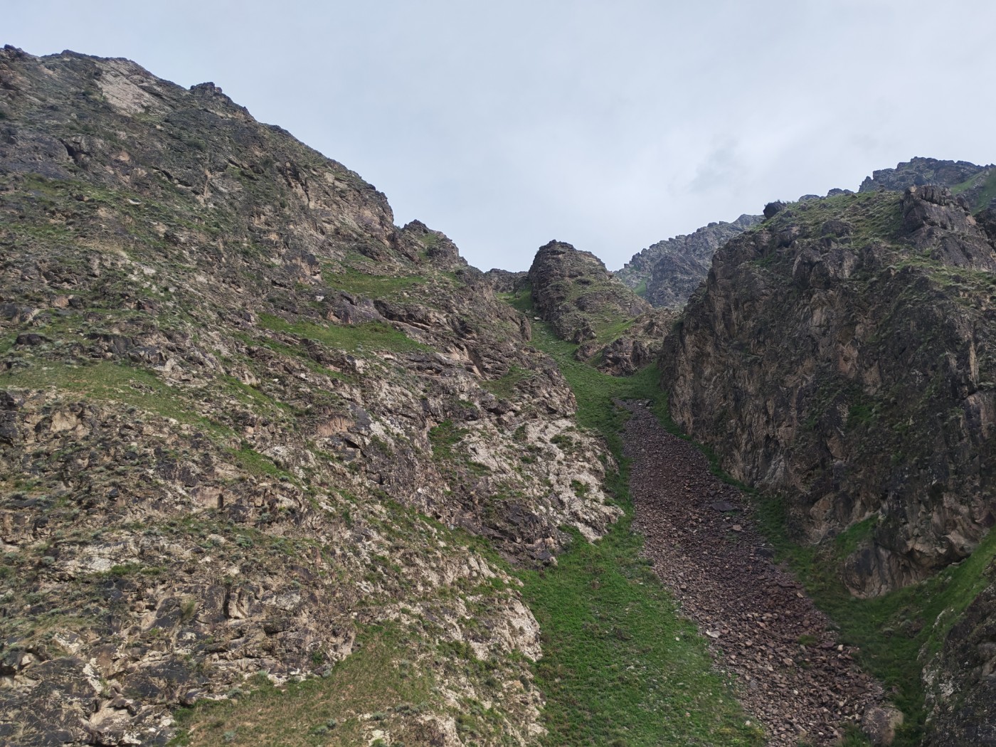 IMG_20260716_100835.jpg