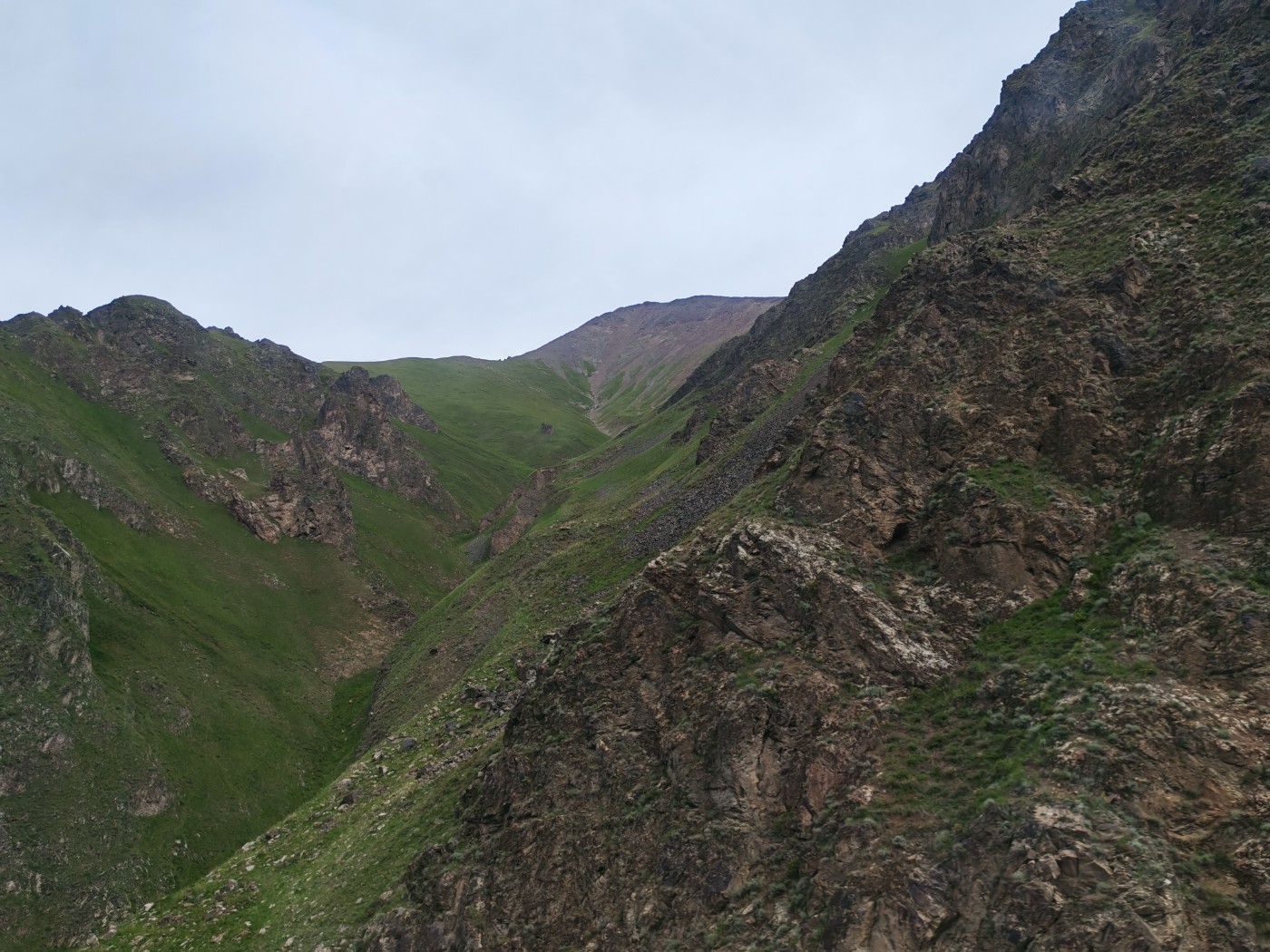 IMG_20260716_100938_1.jpg
