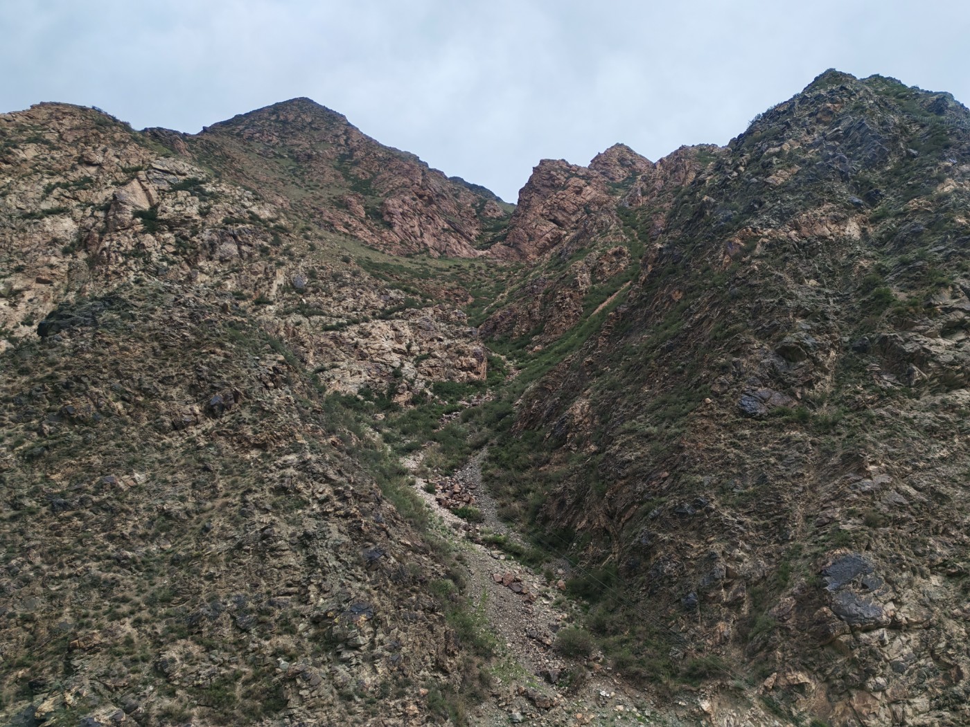 IMG_20260716_110616.jpg