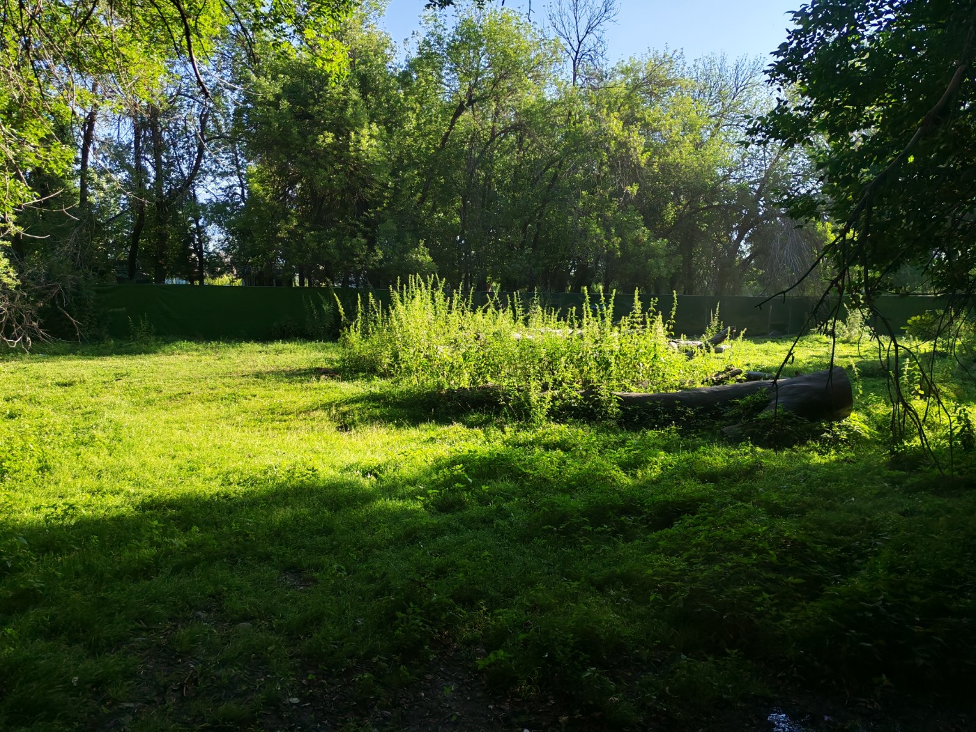 IMG_20260717_091932.jpg