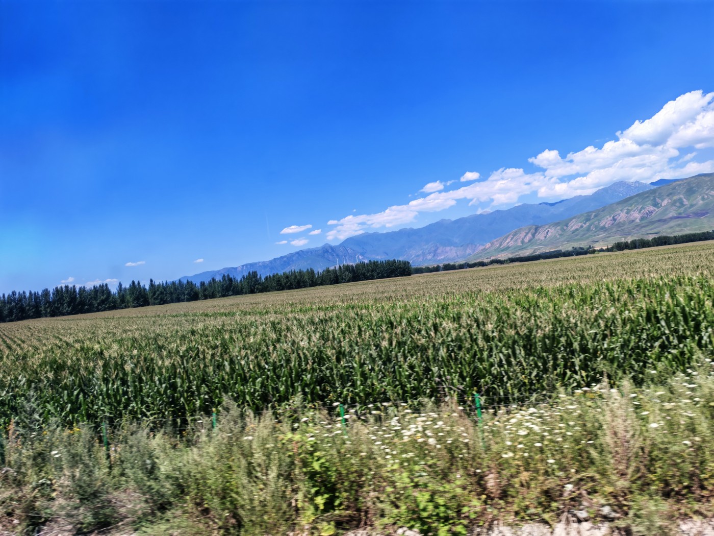 IMG_20260717_142840.jpg