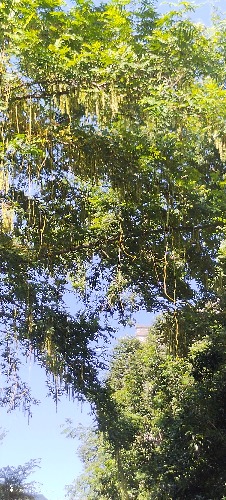 IMG_20260720_093459.jpg