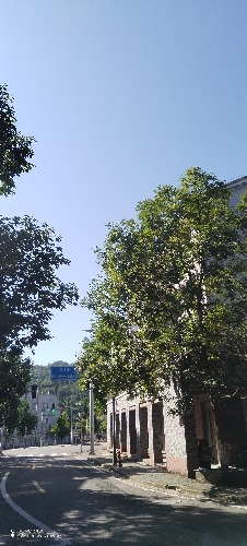 IMG_20260720_093317.jpg