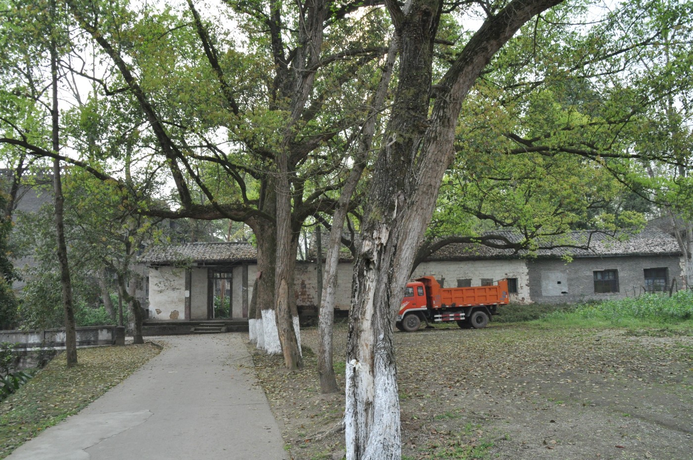 DSC_0035.jpg