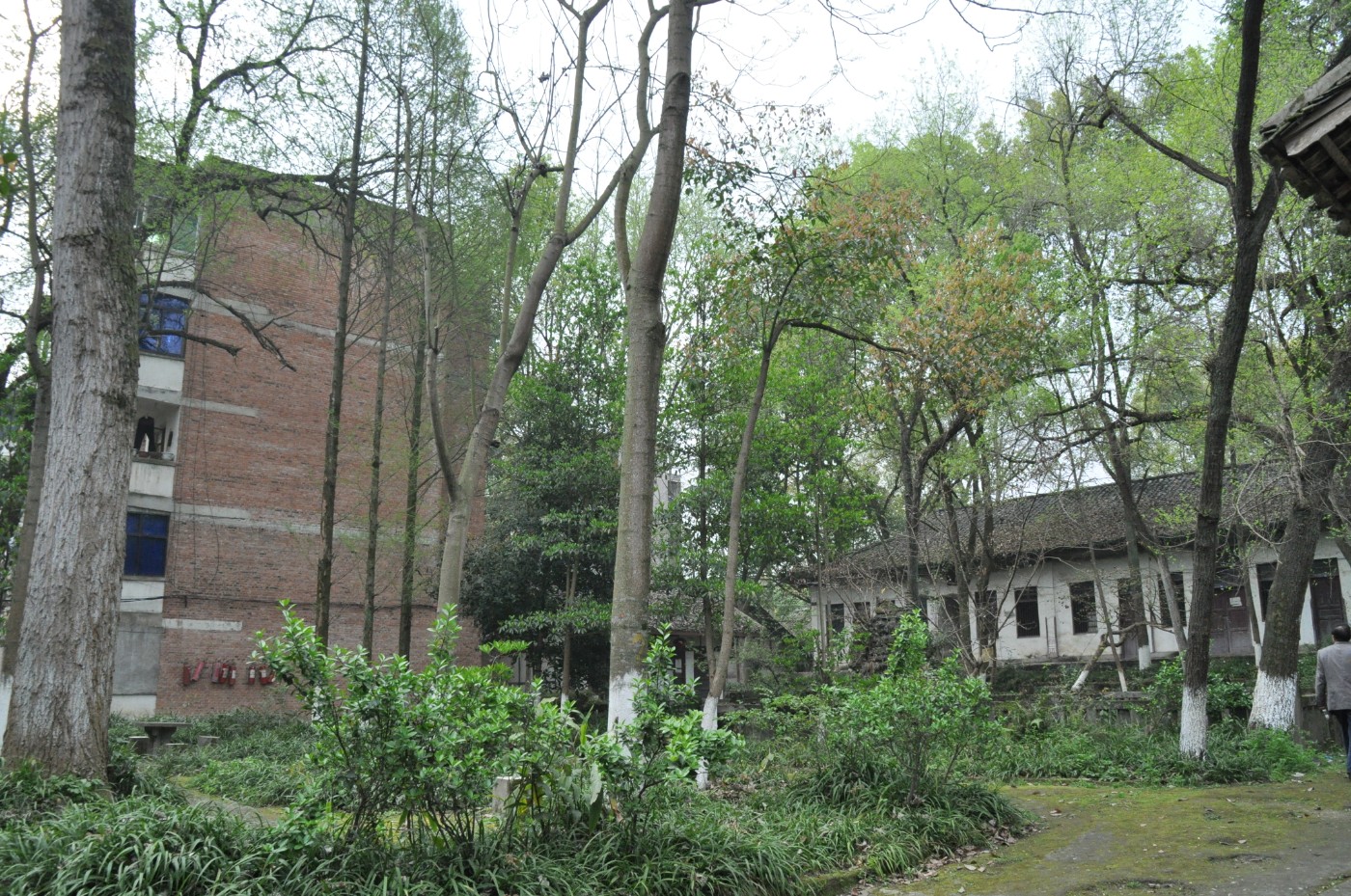 DSC_0042.jpg