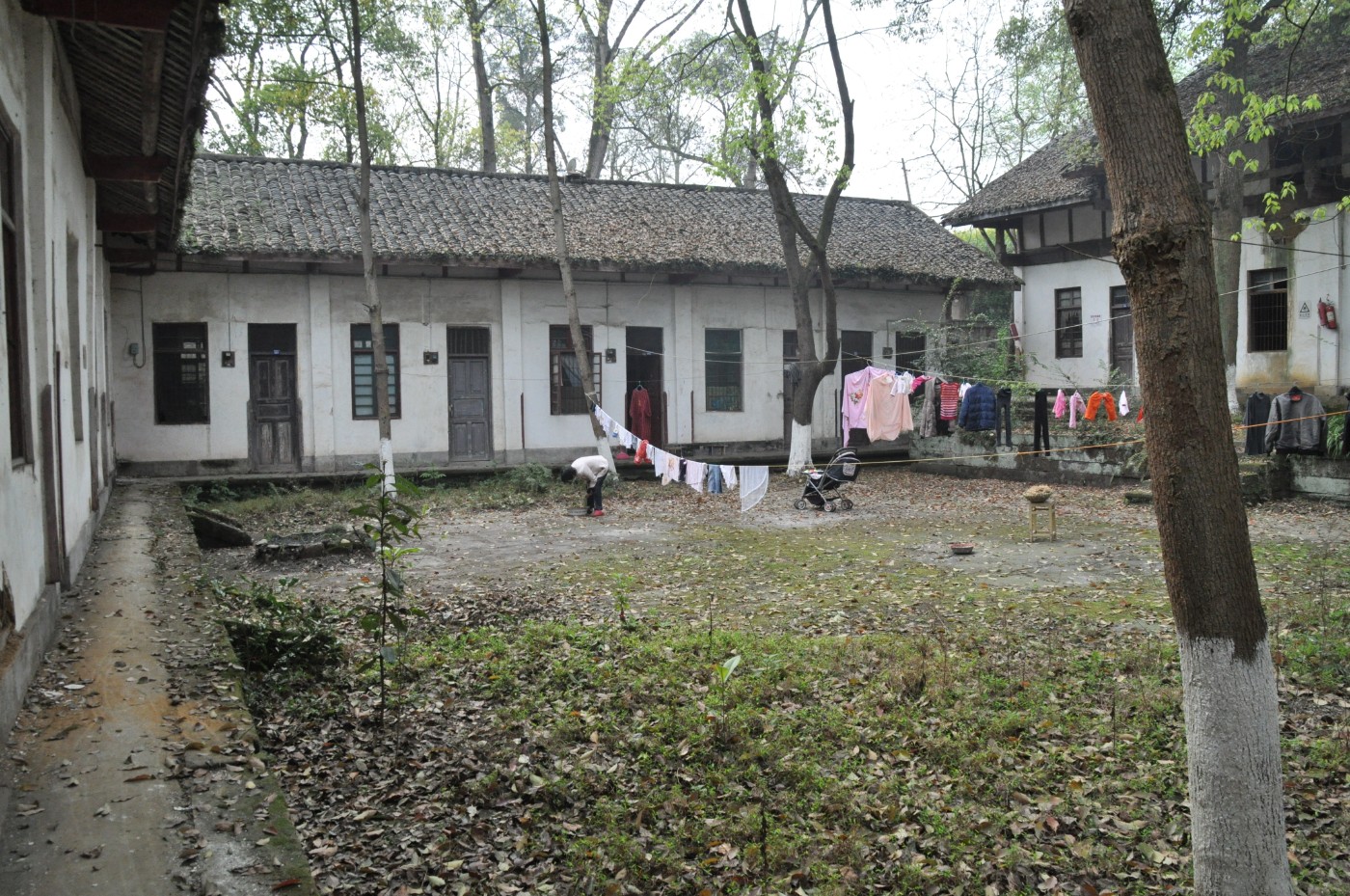 DSC_0052.jpg