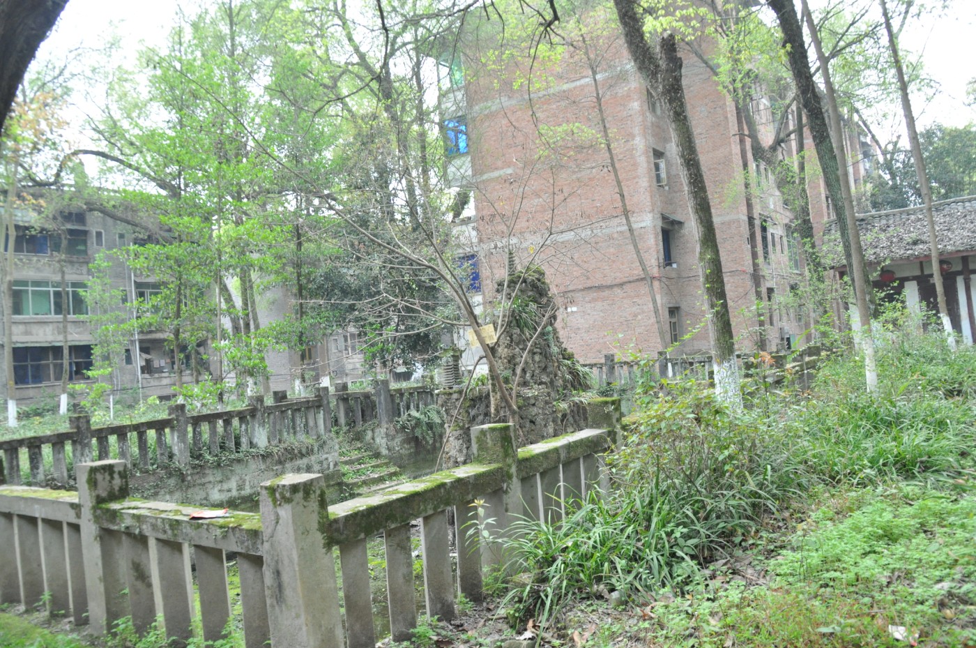 DSC_0049.jpg