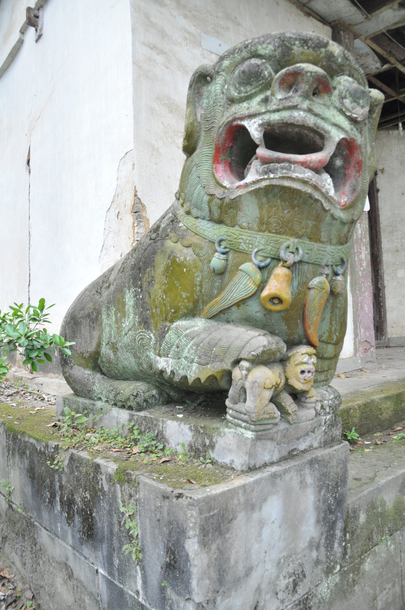 DSC_0064.jpg