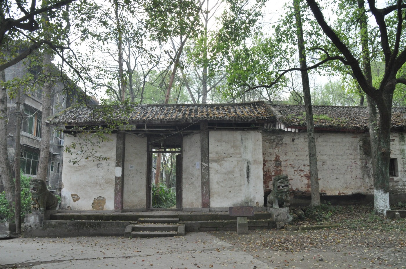 DSC_0066.jpg