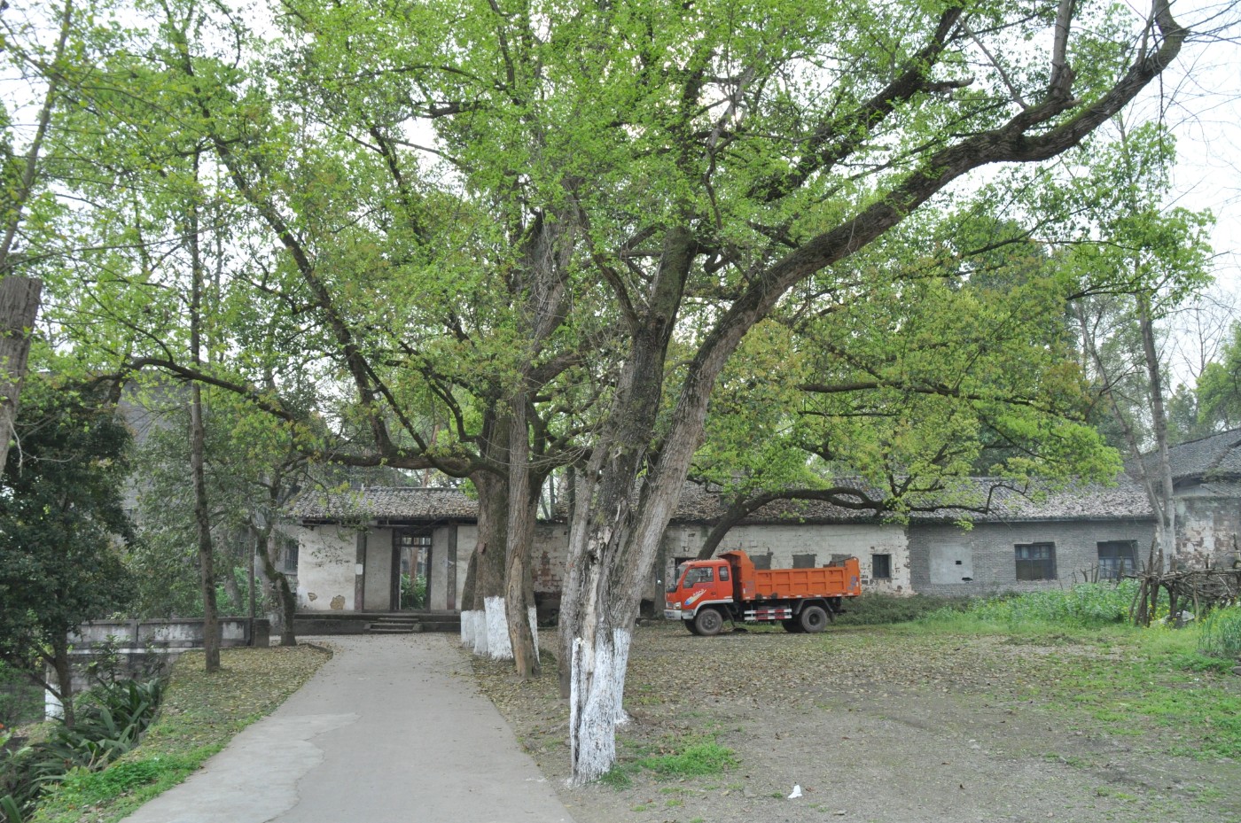 DSC_0067.jpg