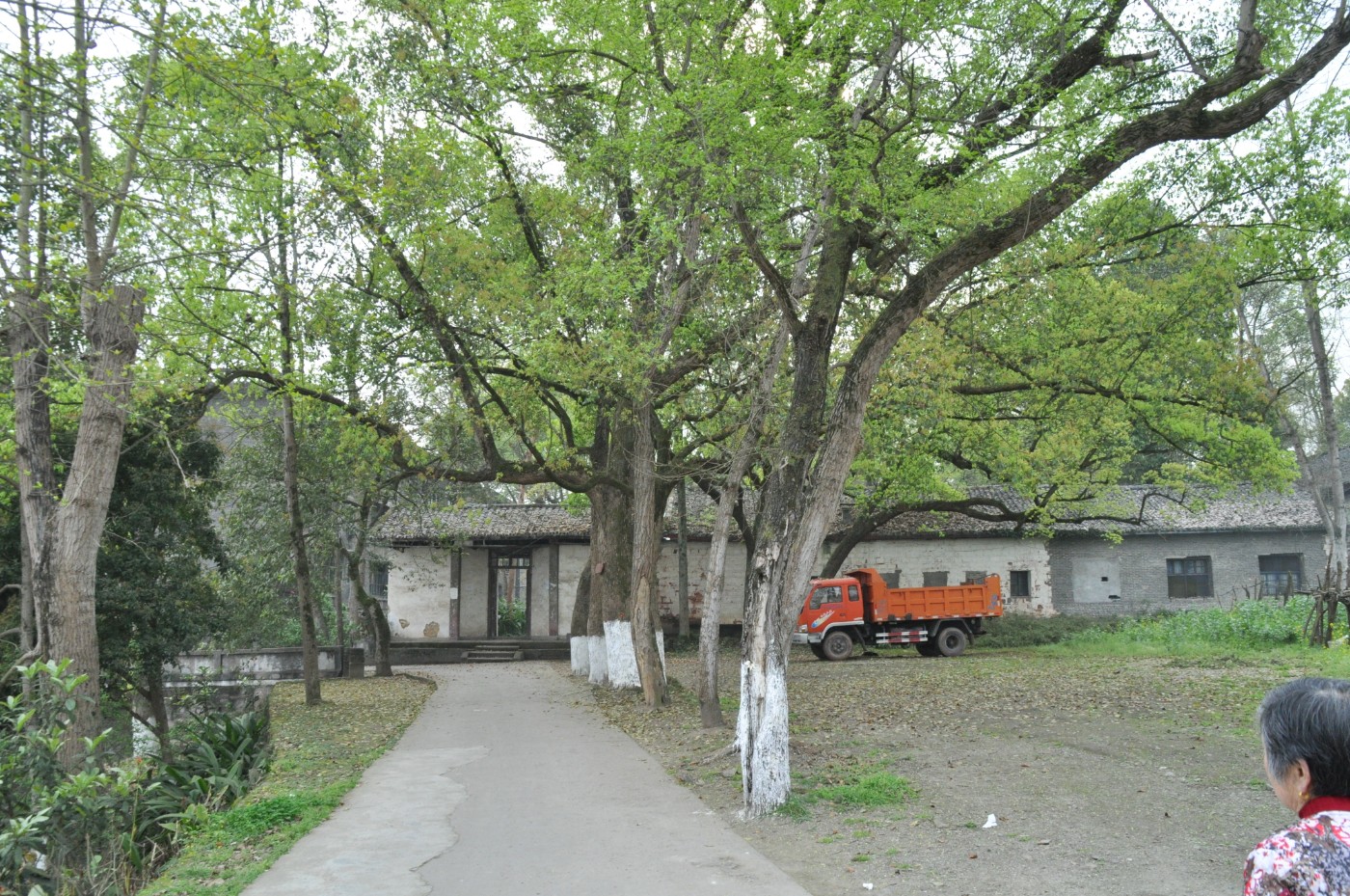 DSC_0068.jpg