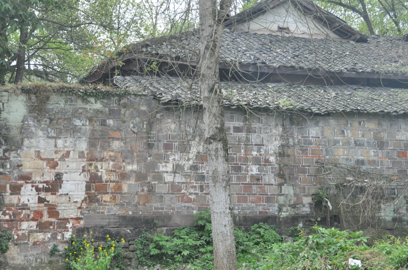 DSC_0070.jpg