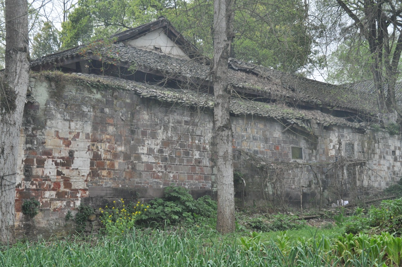 DSC_0072.jpg