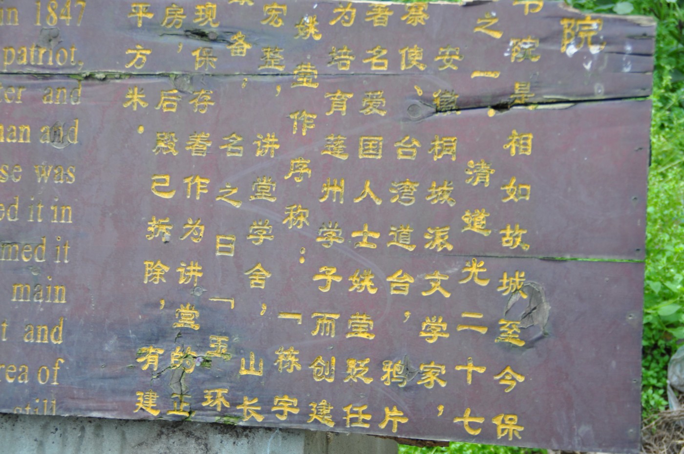 DSC_0106.jpg