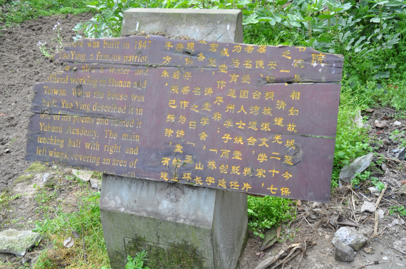 DSC_0105.jpg