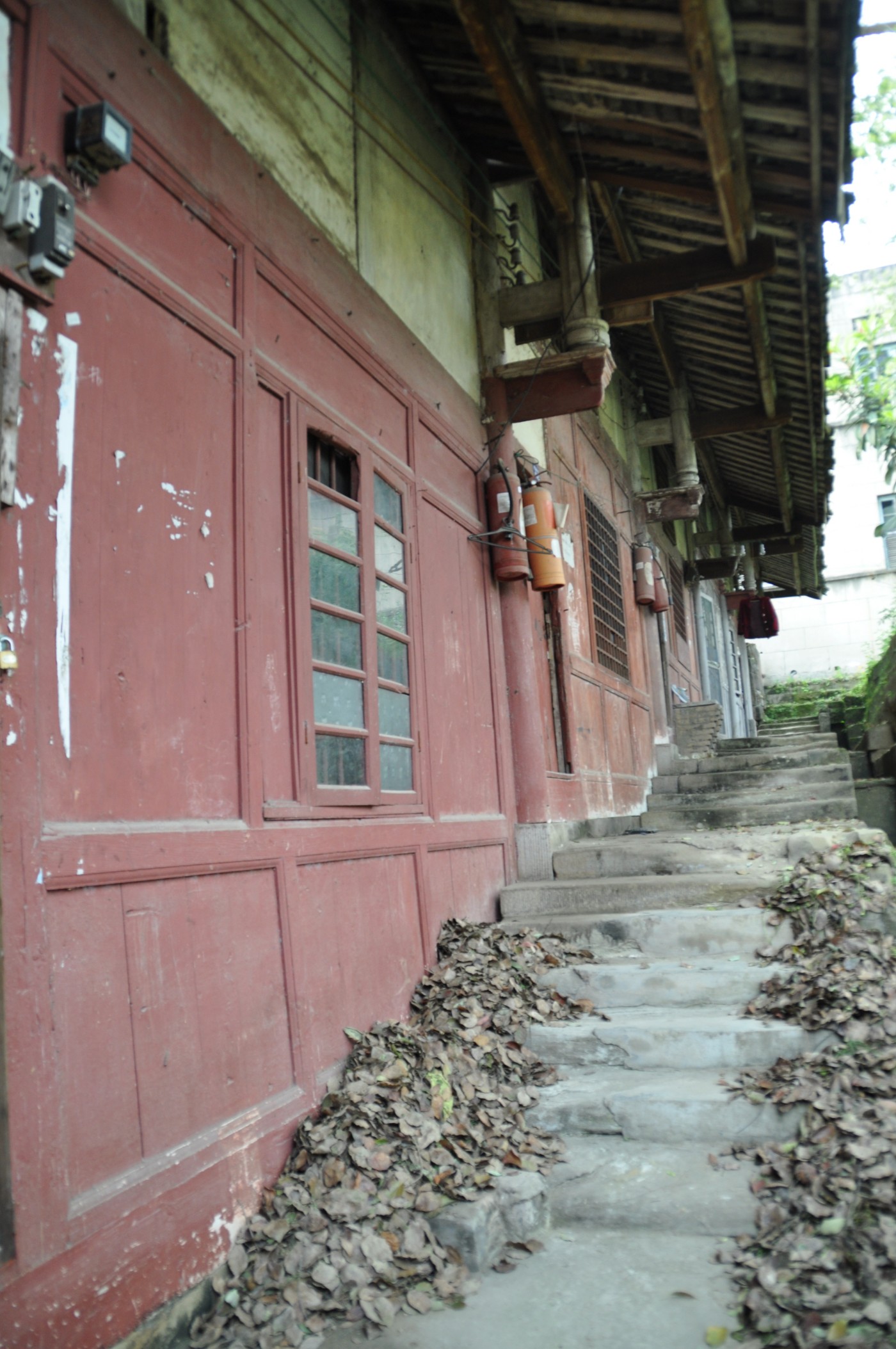 DSC_0113.jpg