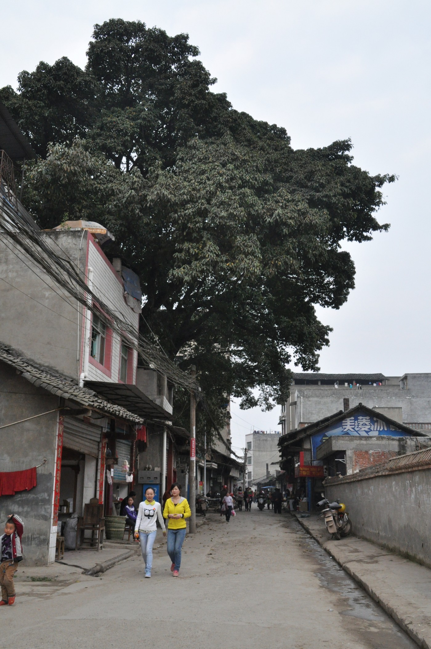 DSC_0152.jpg