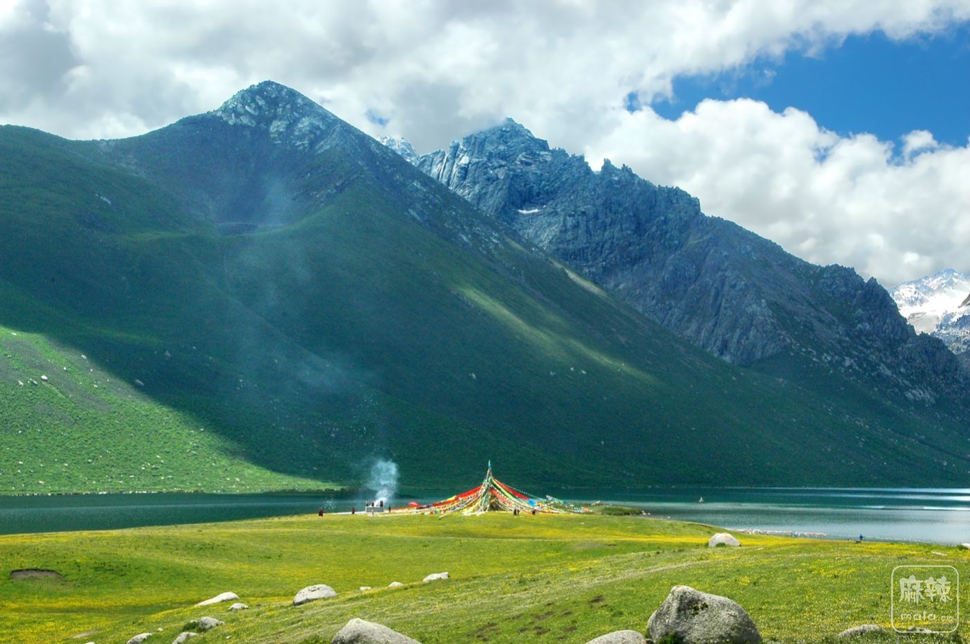 DSC_0883.jpg