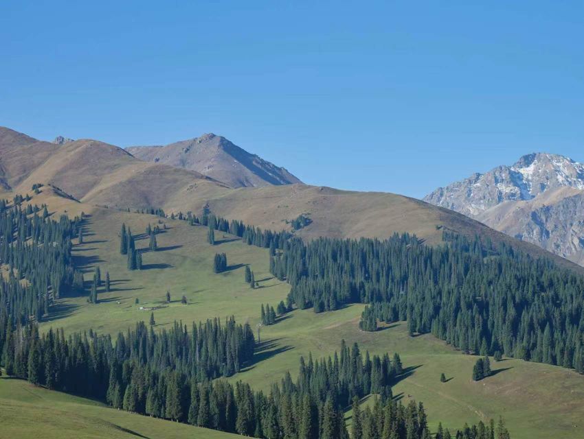 20260728093438front2_0_7414607_FvG2IKj7heU7-sI00lpKBh1CQvaO.jpg