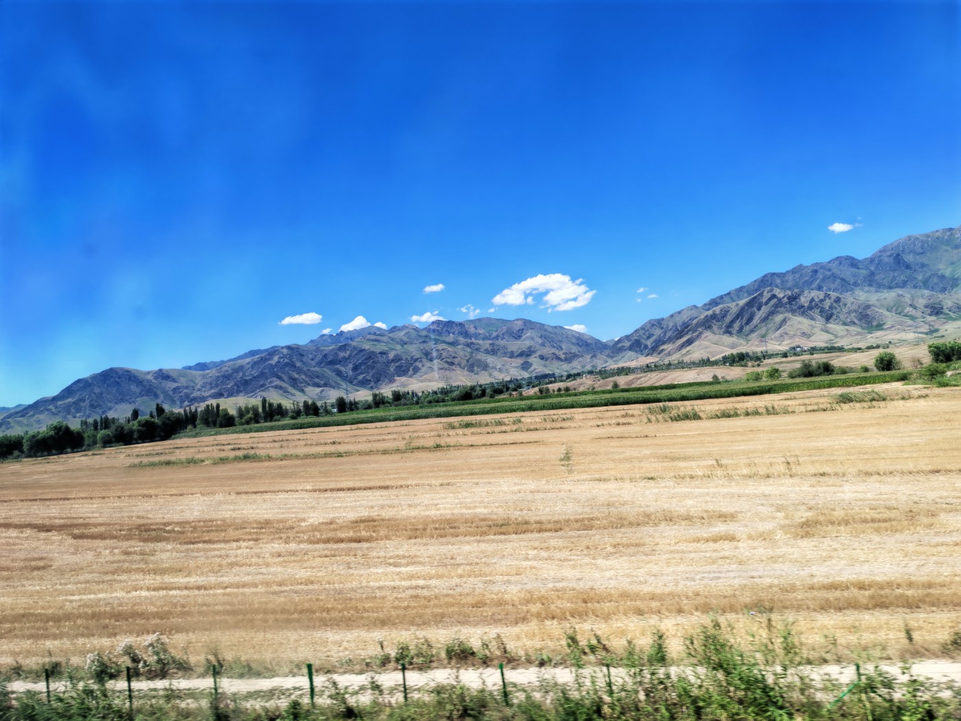 IMG_20260717_154401.jpg