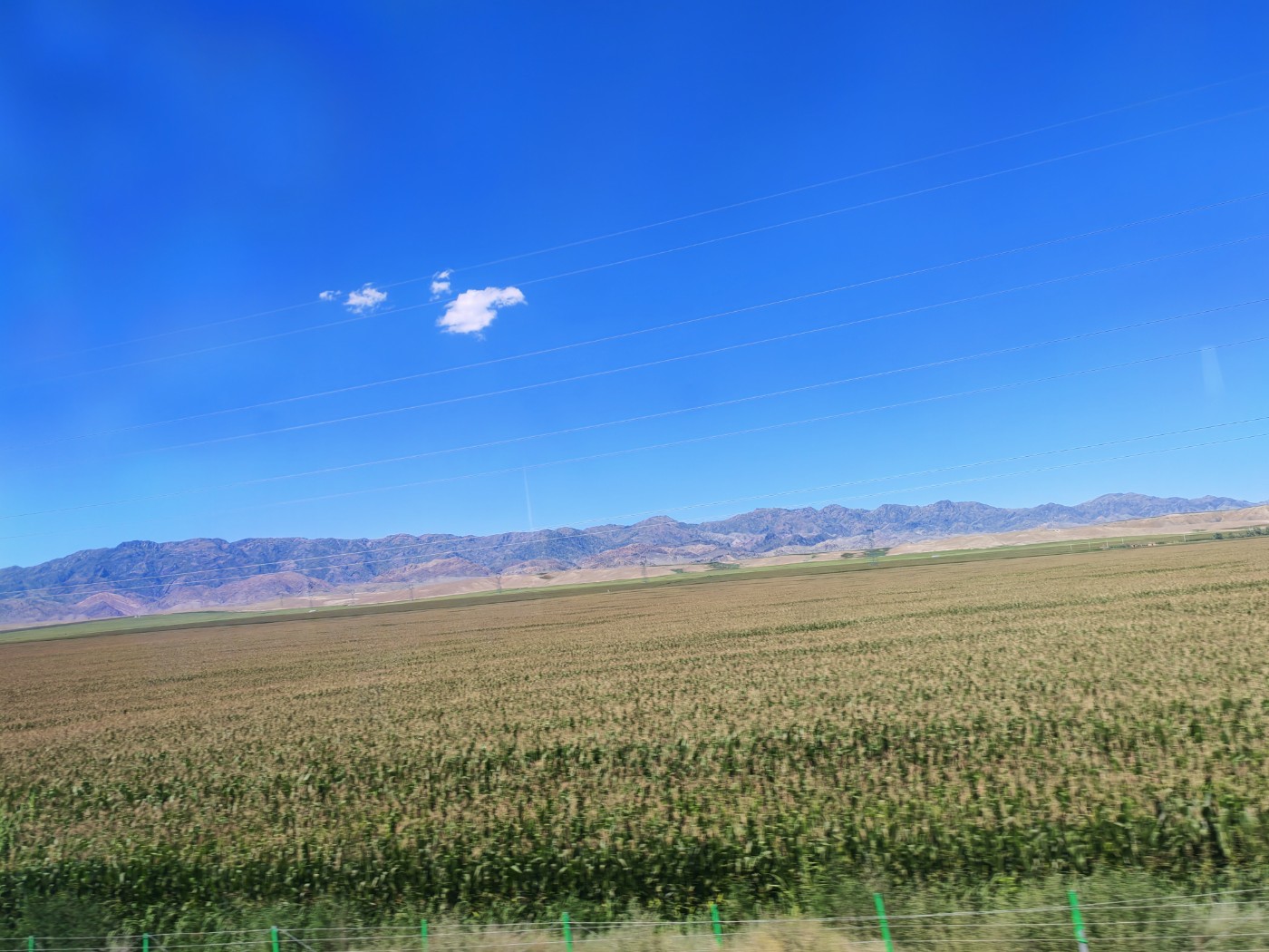 IMG_20260717_171246.jpg