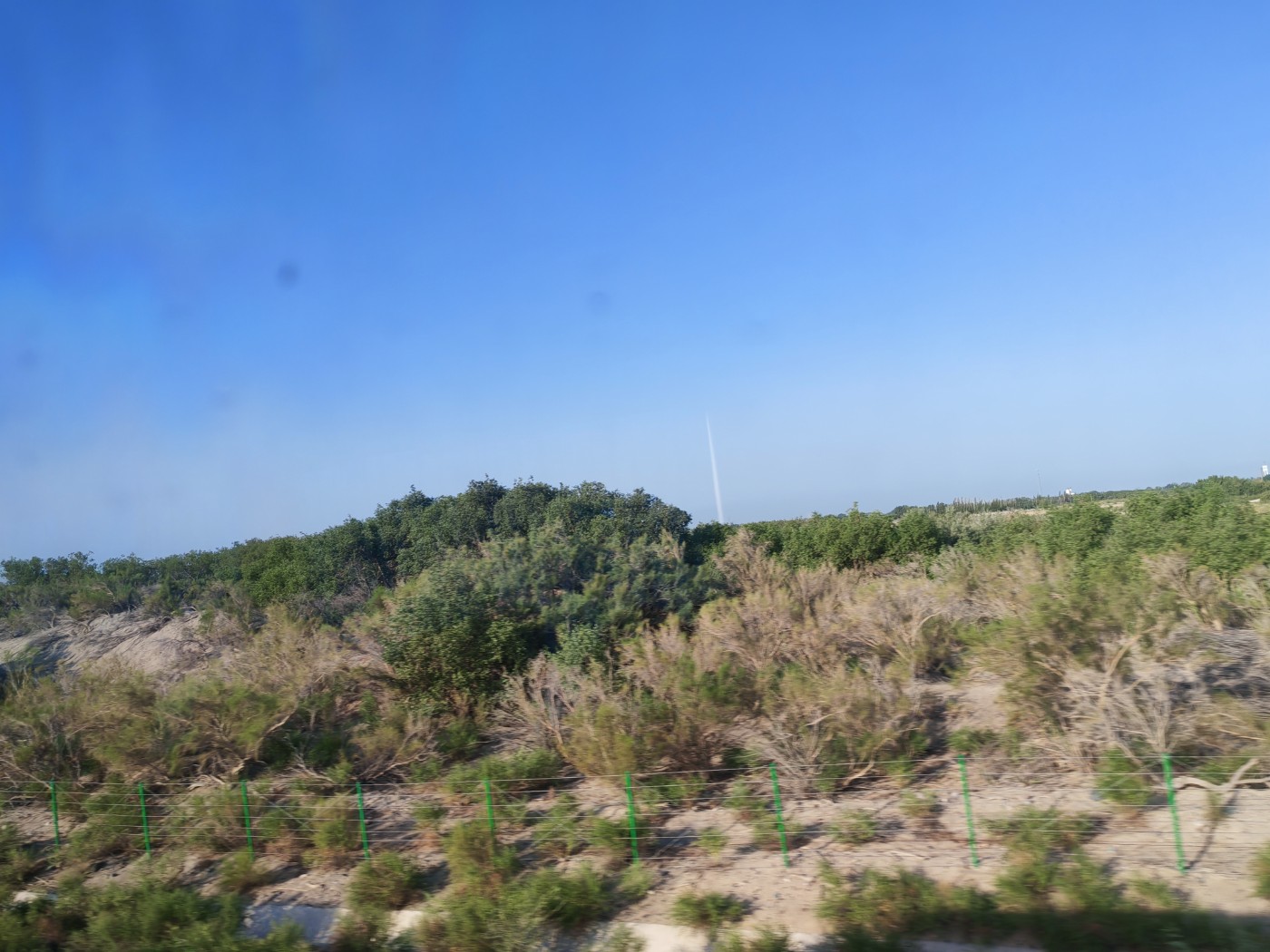 IMG_20260719_090924.jpg