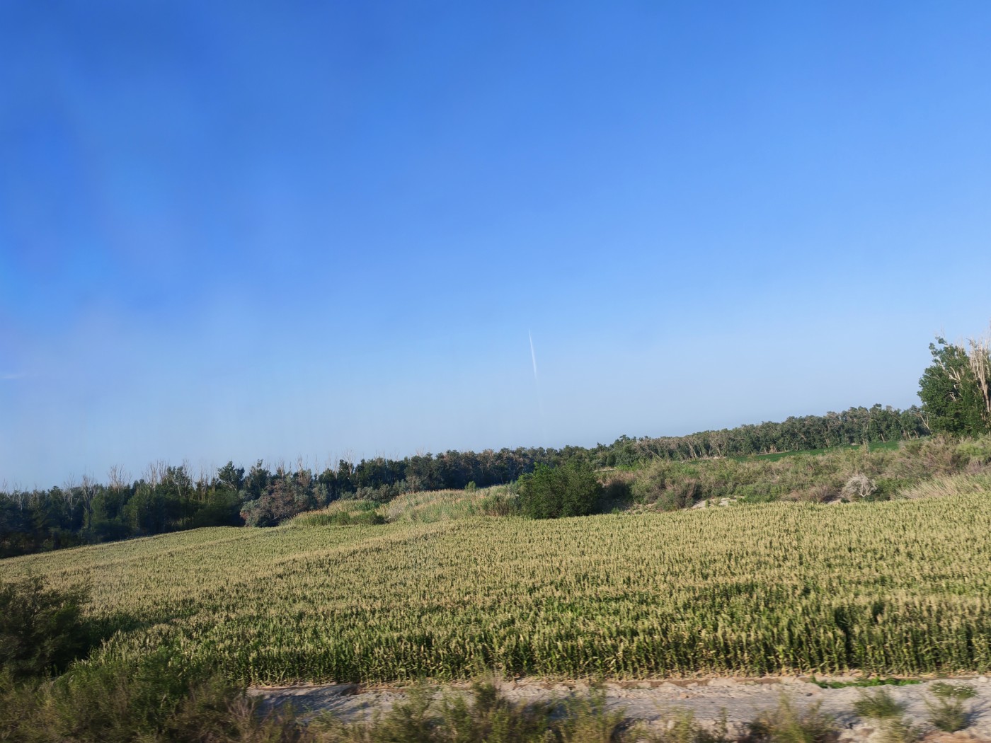 IMG_20260719_091001.jpg