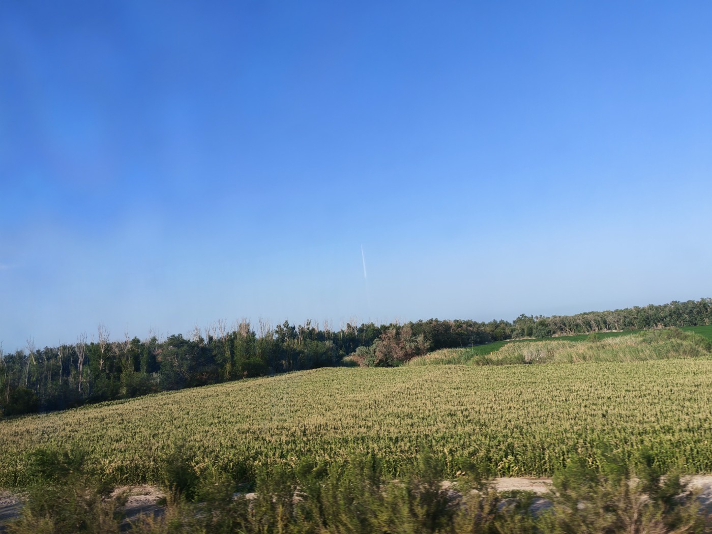IMG_20260719_091003.jpg