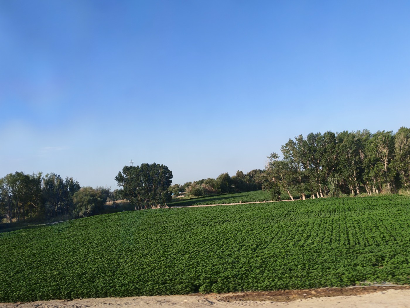 IMG_20260719_091035.jpg